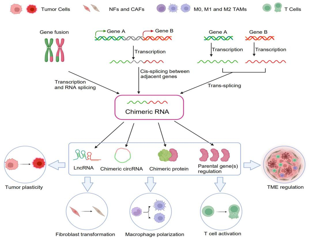 image-20260424090211-2