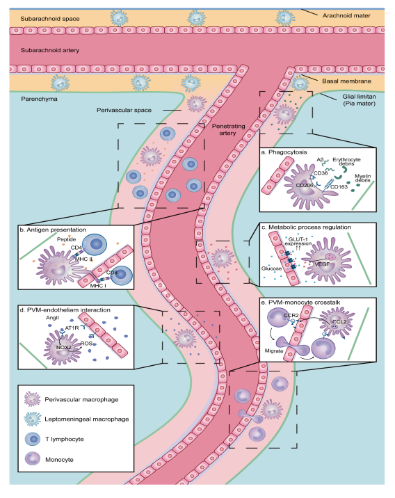 image-20230927100911-3