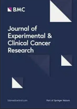 image-20231007105620-1