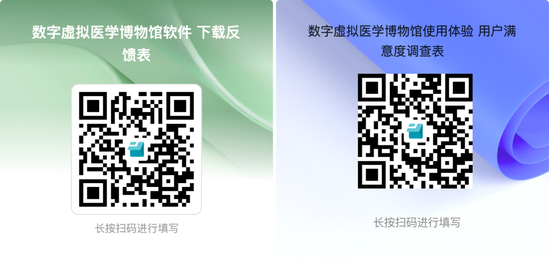 image-20241115153608-1