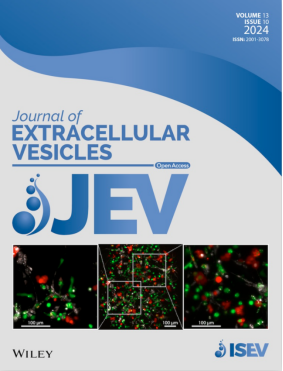image-20241118111527-4