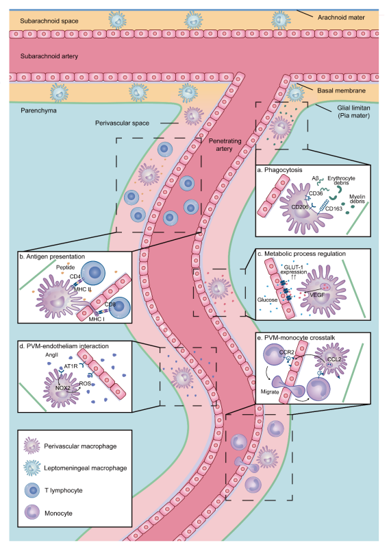image-20250415111729-4