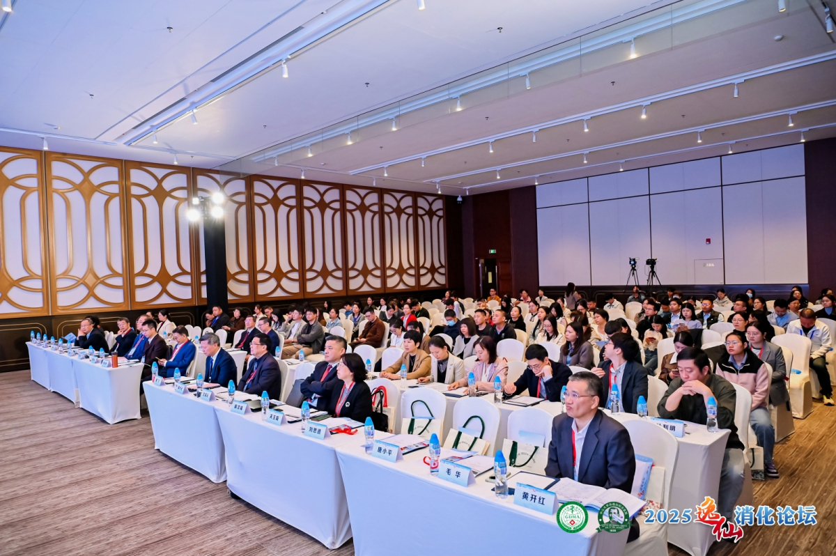 image-20251217084755-1